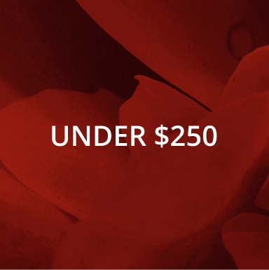 Shop Valentines Day Gifts under $250