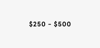 Comprar regalos de $250 a $500