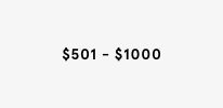 Comprar regalos de $500 a $1000