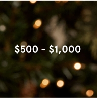 Shop gifts $500-$1000