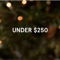 Shop gifts under $250