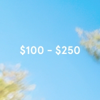 $100-$250