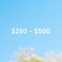$250-$500