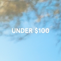 Under $100
