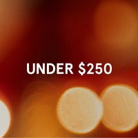 Shop Valentines Day Gifts under $250