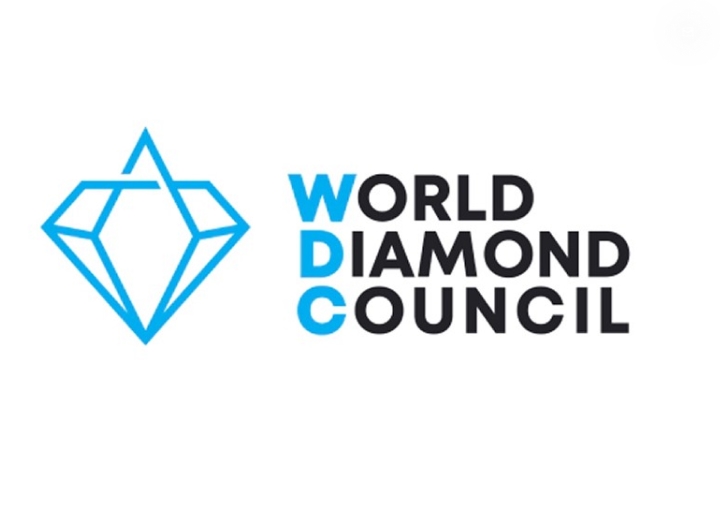 Kay World Diamond Council logo featuring a stylized blue diamond icon and organization name, representing industry leadership in responsible diamond sourcing, ethical practices and consumer confidence in natural diamonds.