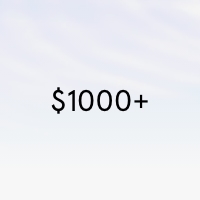 $1,000+