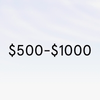 $500-$1,000