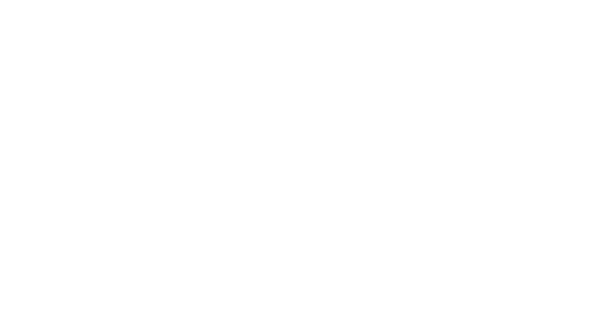 The LEO white logo