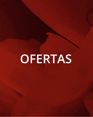 Compre ofertas de regalos para el Día de San Valentín