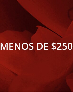 Compre regalos para el Día de San Valentín por menos de $250