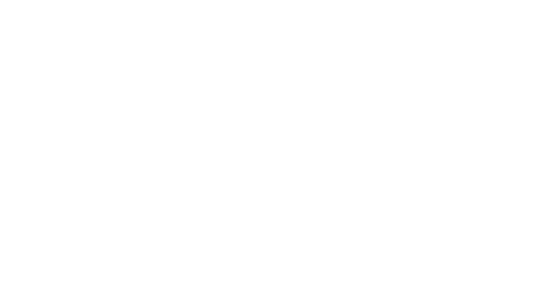 Kay Leo Diamond logo featuring the signature lion emblem and The Leo wordmark representing the Leo Diamond bridal jewelry collection